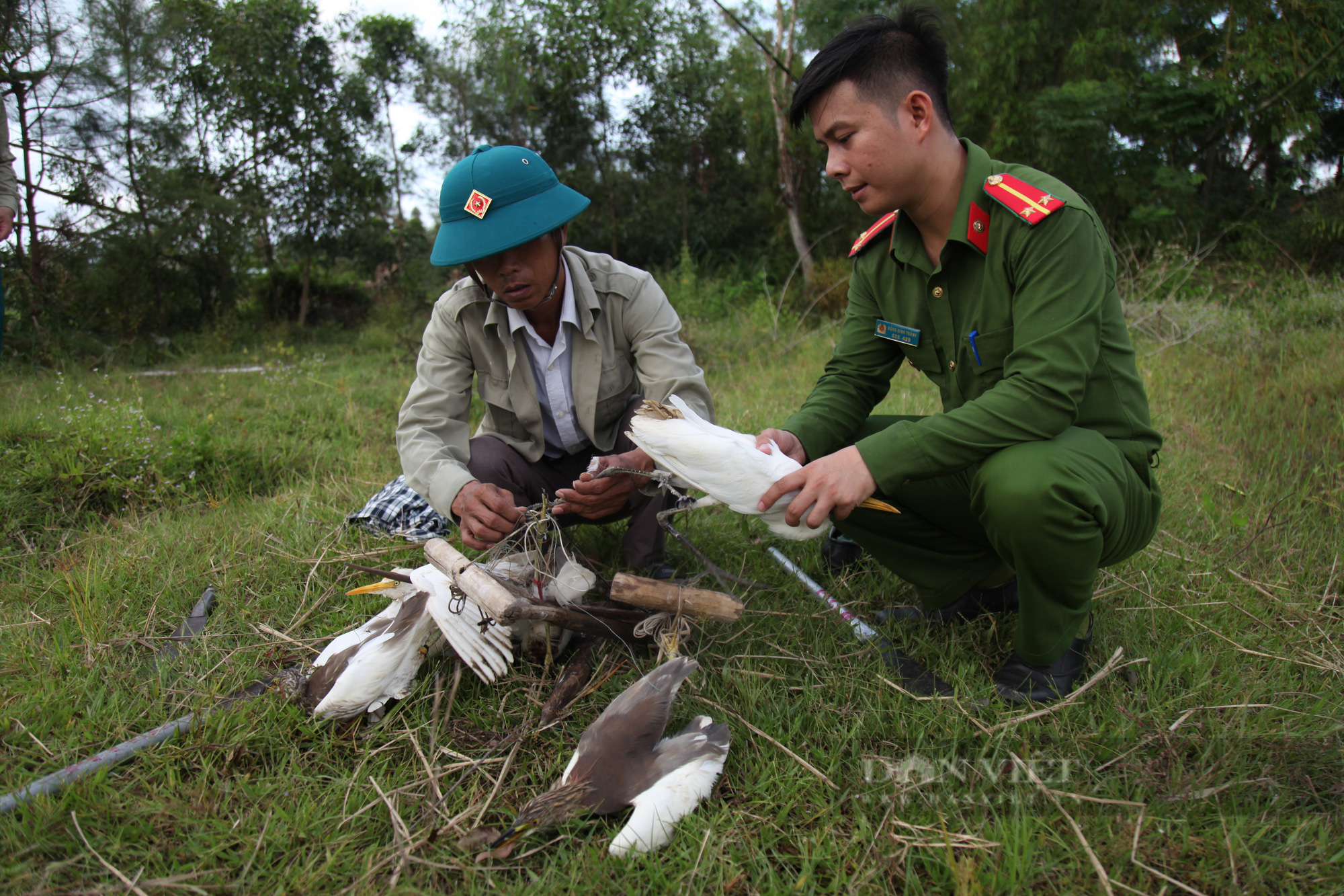 Hội thảo Quốc tế Bảo tồn chim hoang dã: Bộ Tài nguyên và Môi trường hoan nghênh Dân Việt - Ảnh 5.