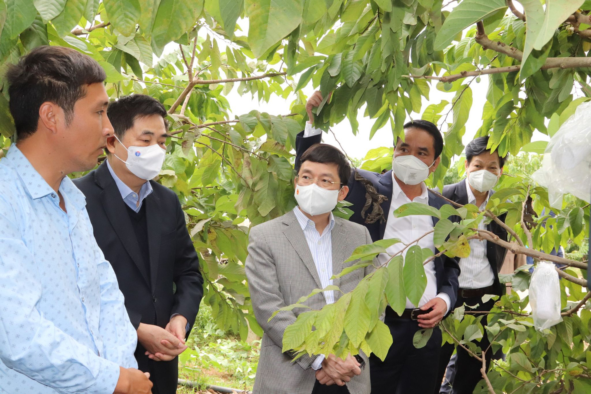 Đoàn công tác của Ban Kinh tế Trung ương khảo sát một số mô hình sản xuất nông nghiệp - Ảnh 1.