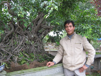 Hưng Yên: Trồng cây cảnh có "lộc" lớn, ngắm cây cảnh "Khủng long" giá 1 tỷ của một ông nông dân - Ảnh 4.