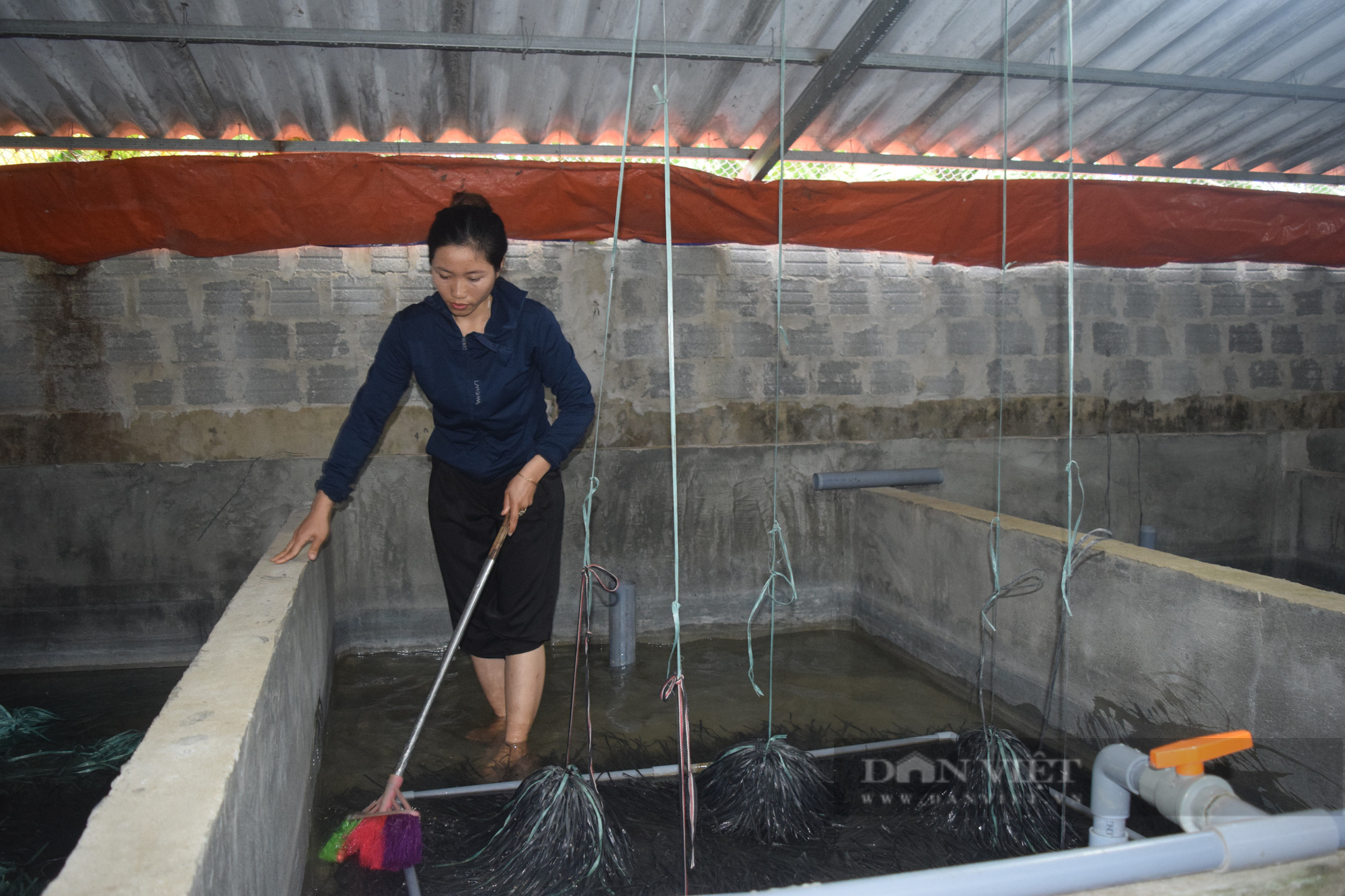 Quảng Bình: Nông dân 9x nuôi lươn trong bể xi măng, vụ đầu tiên đã thu về gần 200 triệu đồng - Ảnh 1.