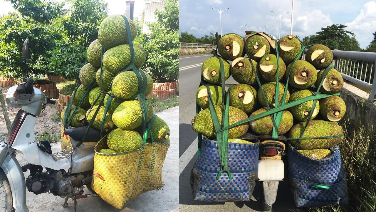 Giá mít Thái hôm nay 1/11: Tăng nhẹ trở lại, thương lái than vì giá xăng tăng, vựa lấy mít vẫn còn khắt khe - Ảnh 1.