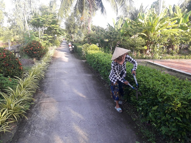 Cây cảnh trang trí hàng rào nông thôn không chỉ là một món quà tuyệt vời giúp tô điểm cho ngôi nhà của bạn, mà nó còn cho thấy tình yêu với thiên nhiên và góp phần giúp bảo vệ môi trường.