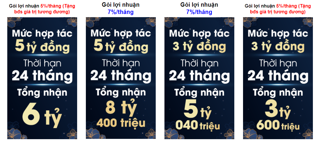 Kêu gọi đầu tư sinh lời 7%/tháng trong bối cảnh &quot;lỗ chồng lỗ&quot;, BĐS Nhật Nam lấy tiền đâu để trả nhà đầu tư? - Ảnh 3.