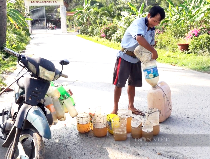 Độc lạ nghề trèo cây lấy thứ nước ngọt như đường của người Khmer ở An Giang - Ảnh 8.