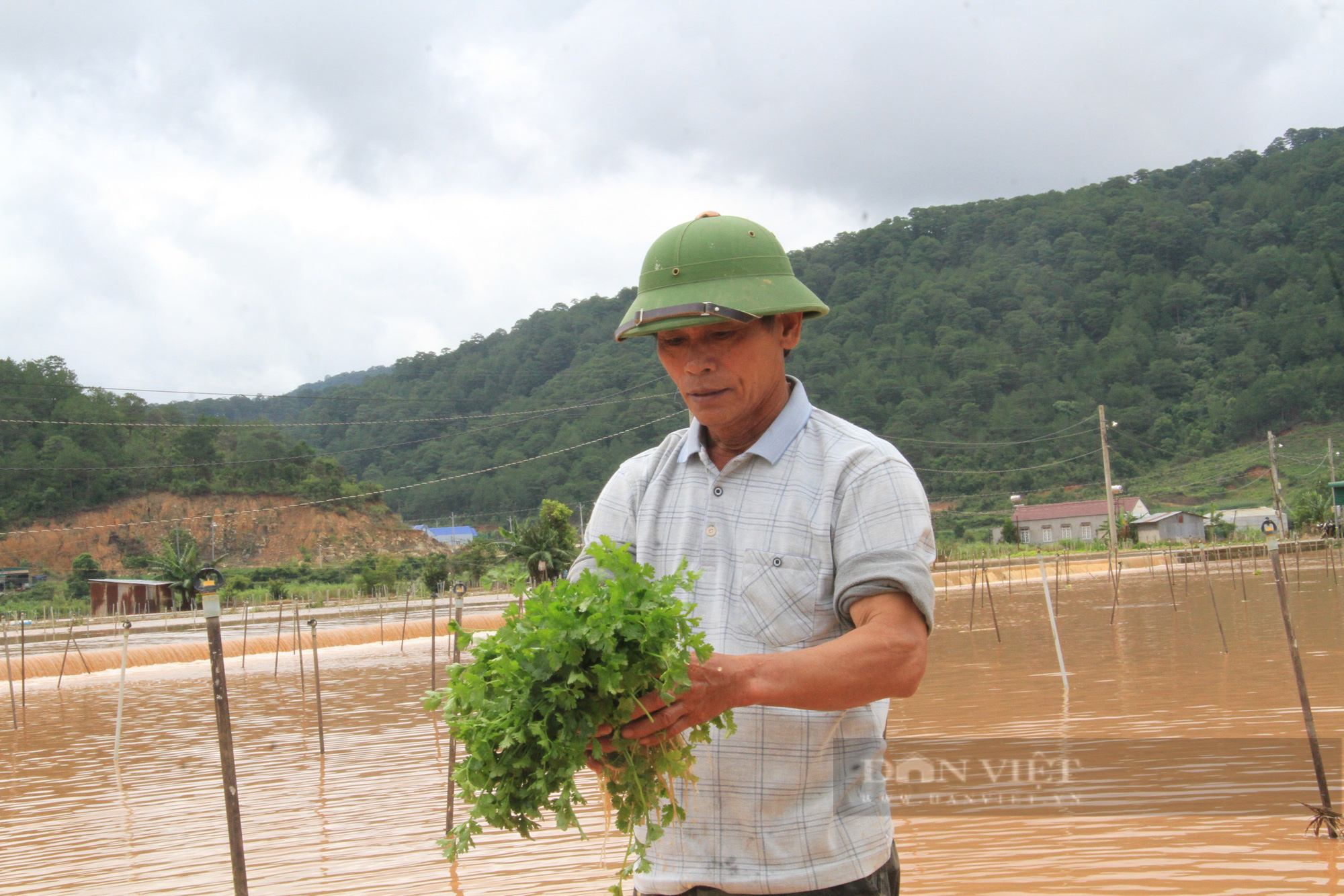 Lâm Đồng: Thiệt hại 53 tỷ đồng do ảnh hưởng thiên tai, mưa lũ - Ảnh 3.