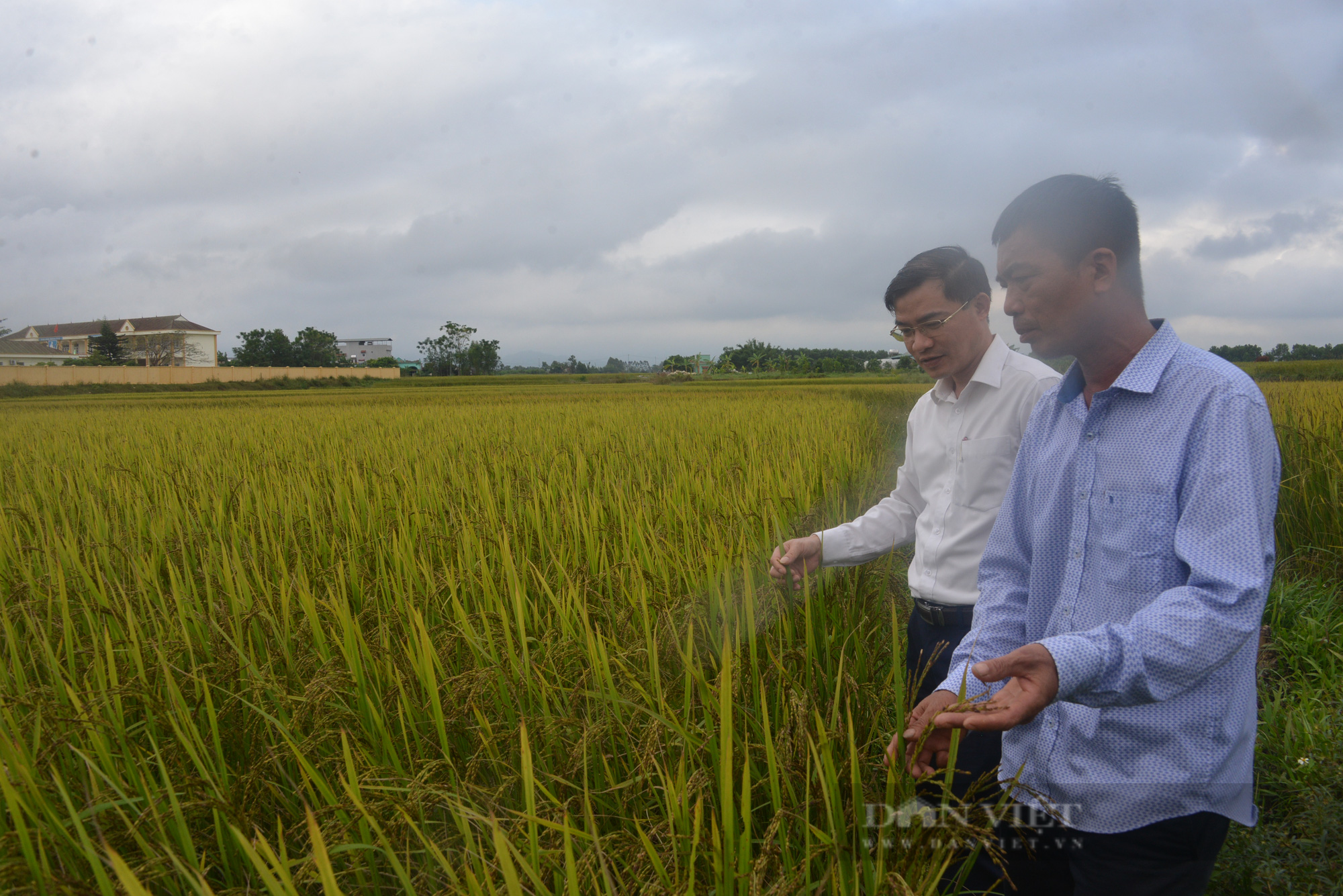 Khi ngân hàng chìa &quot;bàn tay ấm&quot; cho nông dân - Ảnh 1.