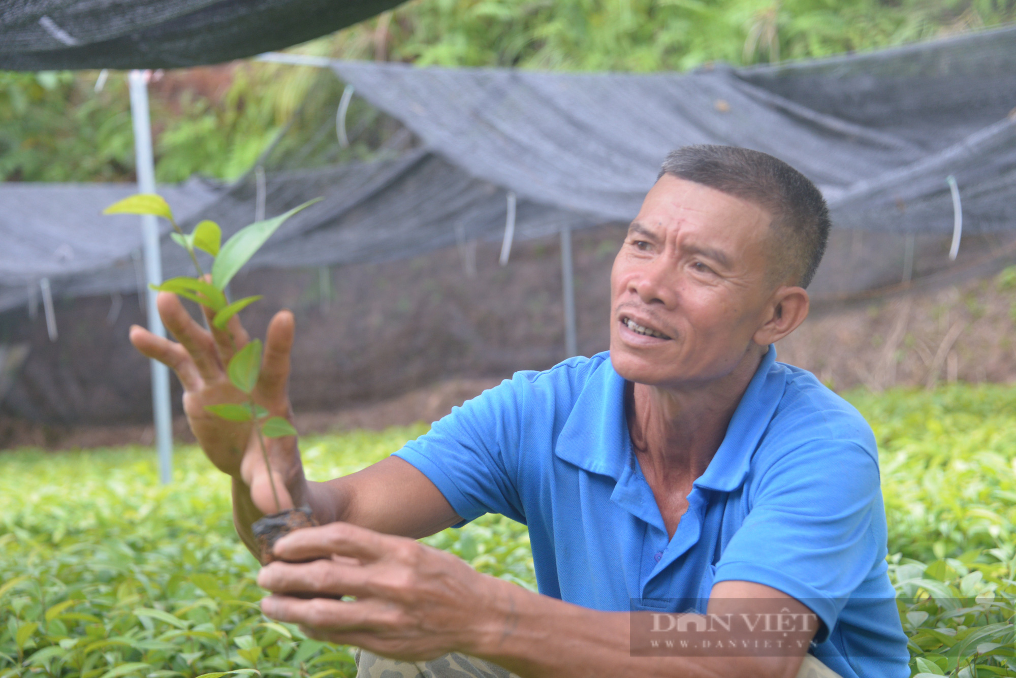 Khi ngân hàng chìa &quot;bàn tay ấm&quot; cho nông dân - Ảnh 3.