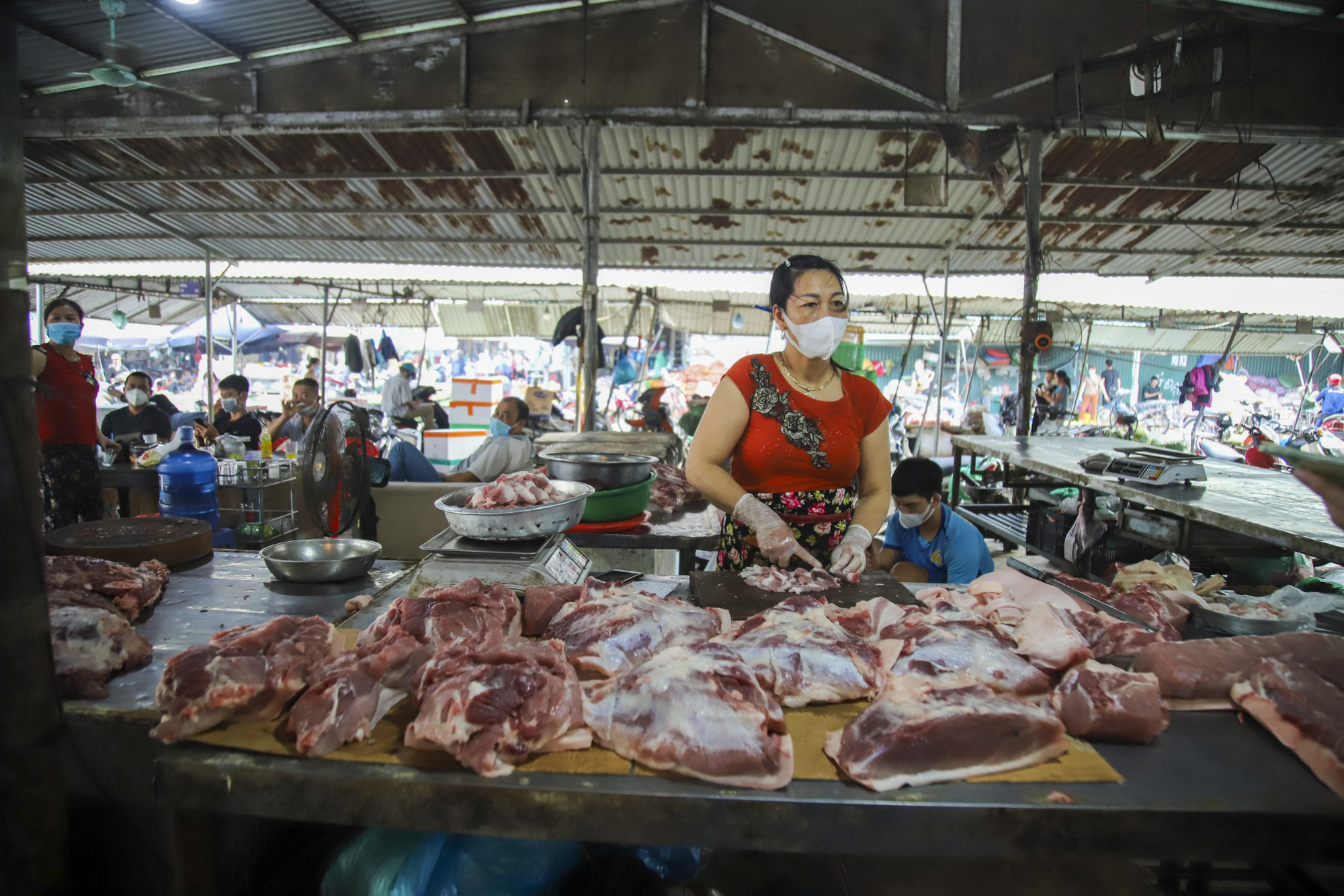 Giá thịt lợn không chịu giảm dù giá lợn hơi rớt sâu, Hà Nội siết kiểm soát giá, ngăn đầu cơ, găm hàng - Ảnh 1.