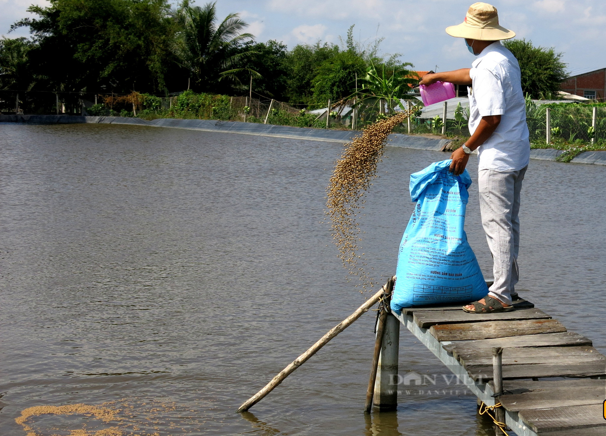 Tiền Giang: Trai làng chơi lớn nhập thủy quái về nhân giống bán thu tiền tỷ - Ảnh 6.