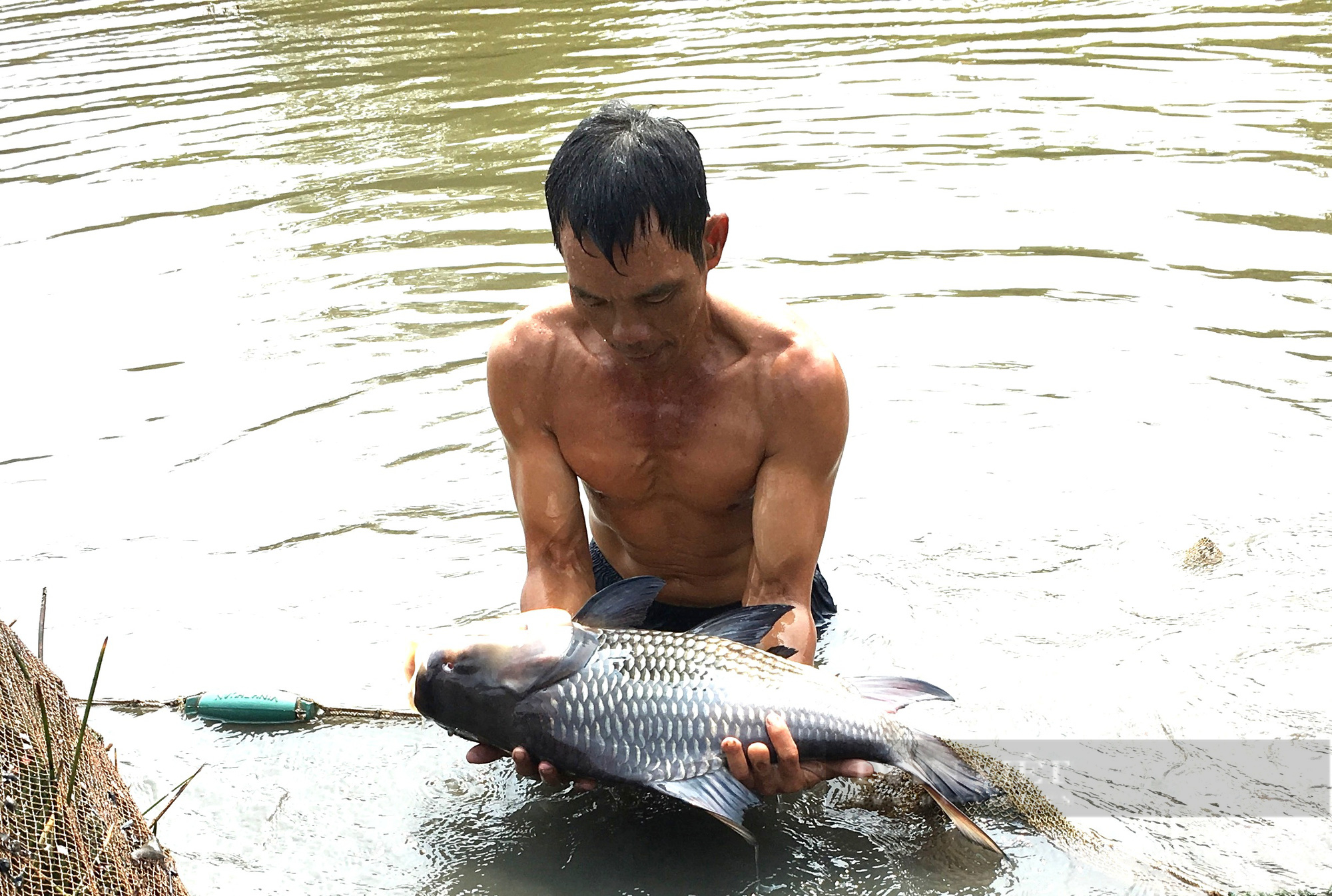 Tiền Giang: Trai làng chơi lớn nhập thủy quái về nhân giống bán thu tiền tỷ - Ảnh 1.