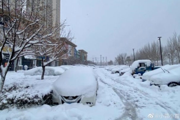 Bão tuyết kinh hoàng tàn phá miền Bắc Trung Quốc - Ảnh 7.