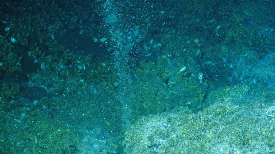 10 điều bí ẩn gây sốc nhất về đáy đại dương - Ảnh 7.