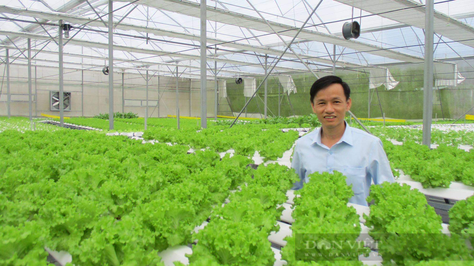 Đà Nẵng: Ứng dụng khoa học công nghệ vào phát triển nông nghiệp – hướng đến nền nông nghiệp đô thị bền vững - Ảnh 1.