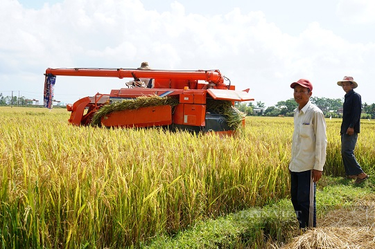 Quảng Nam: Hội viên nông dân được đào tạo về canh tác lúa thân thiện với môi trường - Ảnh 2.