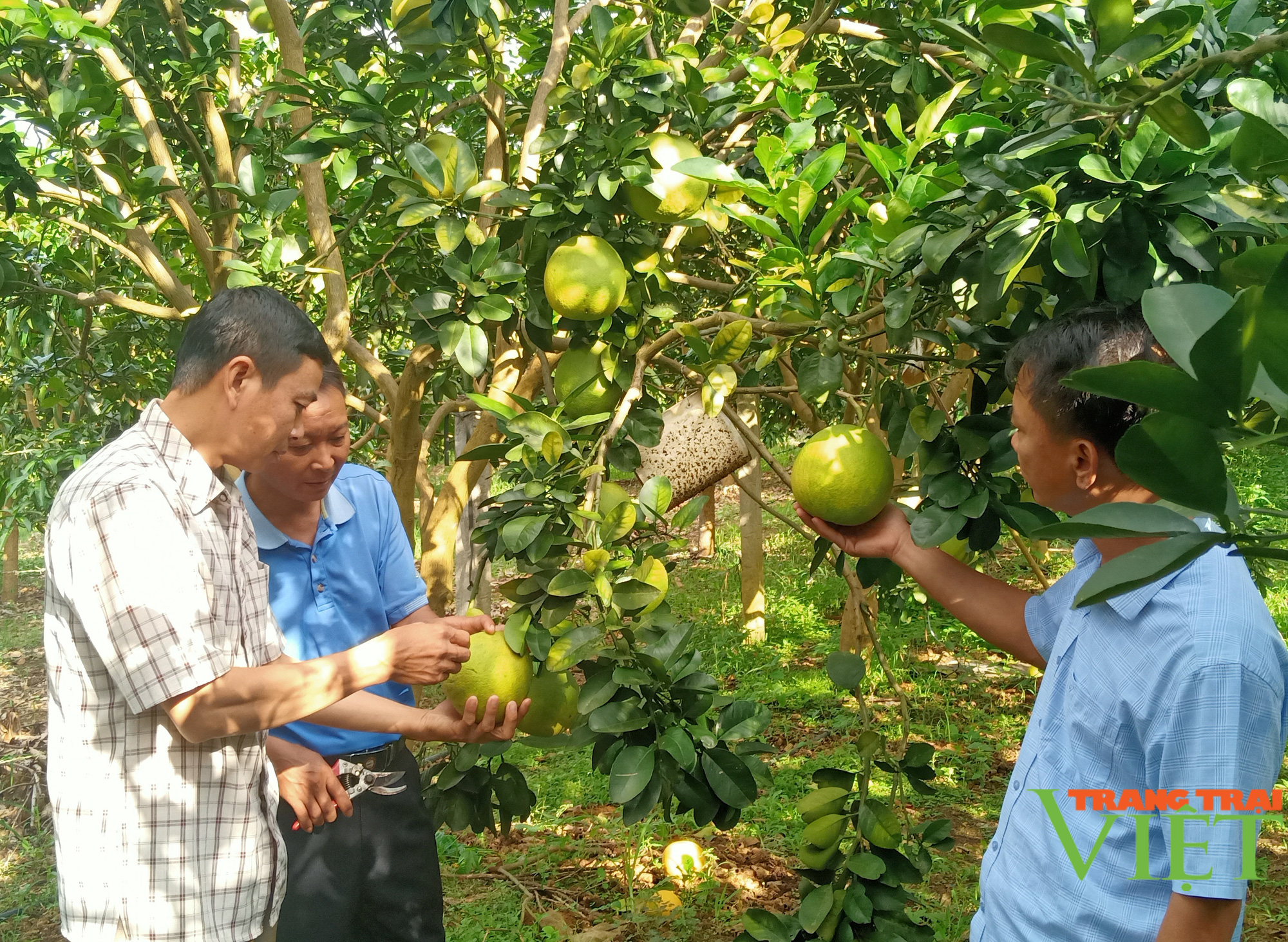 Nông thôn Tây Bắc: Lãnh đạo cùng người dân lo tiêu thụ nông sản - Ảnh 2.