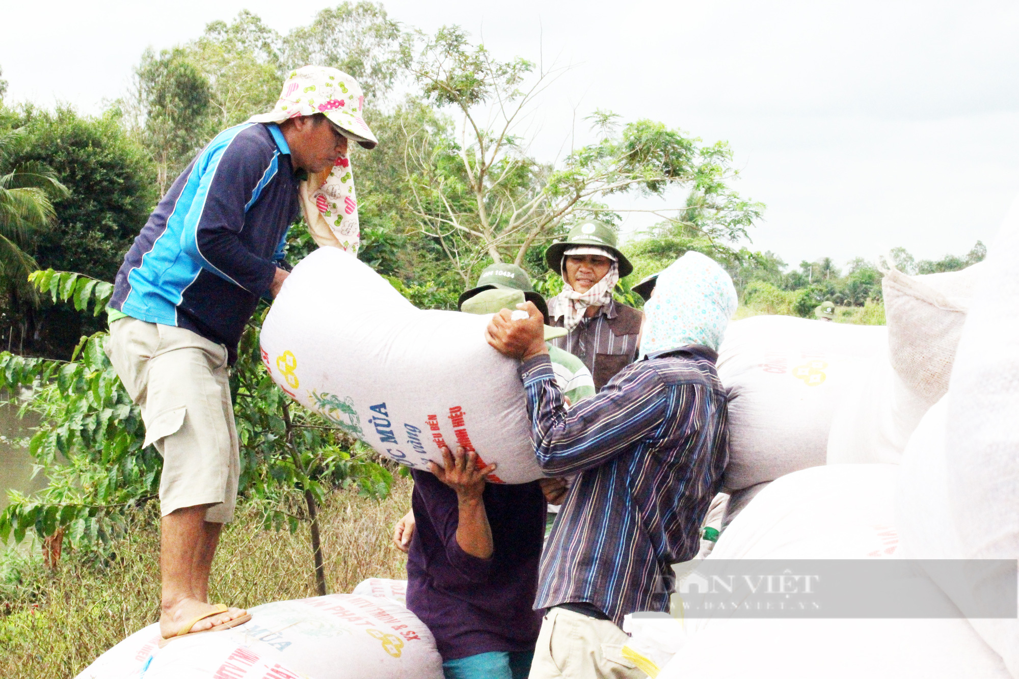 Giá gạo Việt đang đắt nhất thế giới, sao phải tự ti? - Ảnh 1.