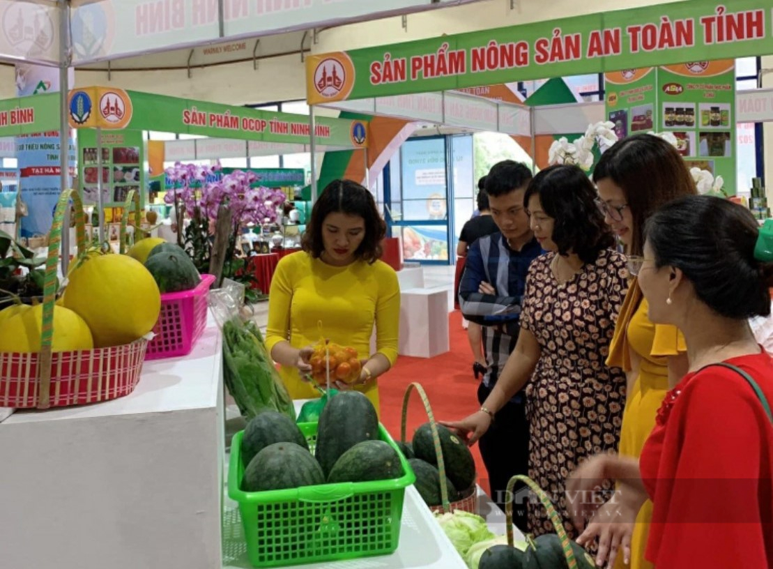 Đơn vị đầu tiên ở Ninh Bình ứng dụng internet vạn vật  trồng dưa kim ngon thượng hảo - Ảnh 5.