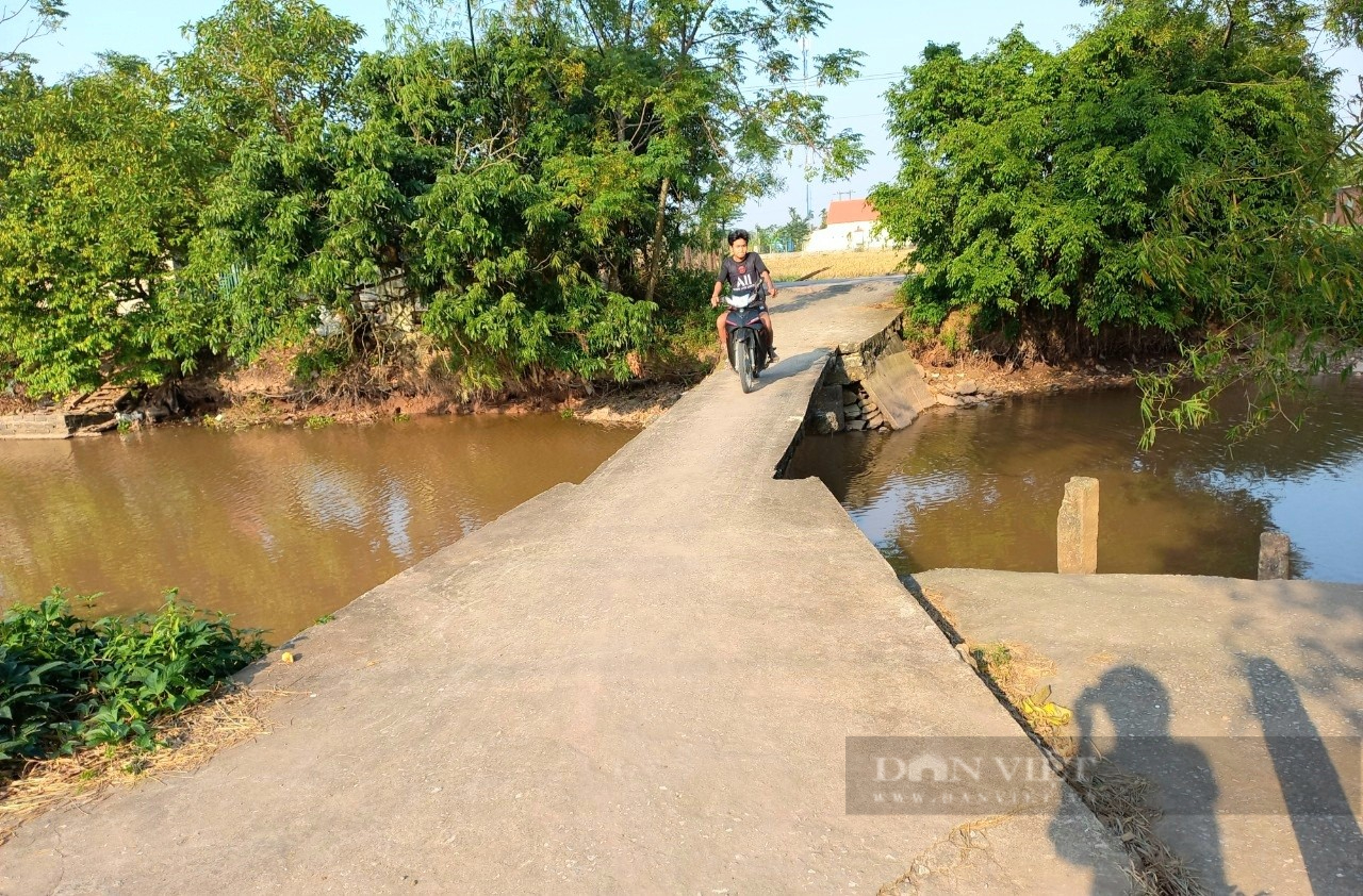 Hàng loạt rào sắt giáp ranh giữa 2 tỉnh Thanh Hóa-Ninh Bình đã được gỡ bỏ - Ảnh 1.