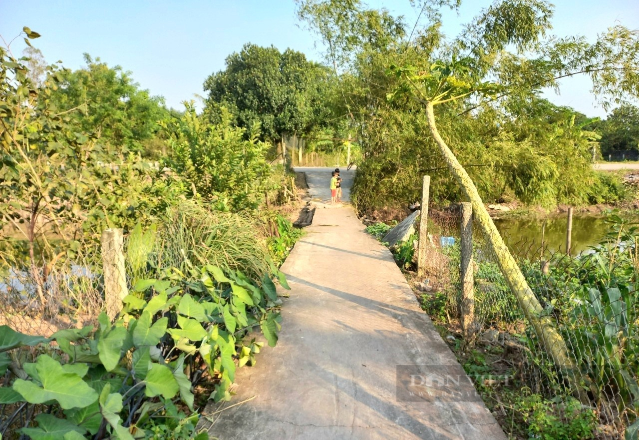 Hàng loạt rào sắt giáp ranh giữa 2 tỉnh Thanh Hóa-Ninh Bình đã được gỡ bỏ - Ảnh 2.