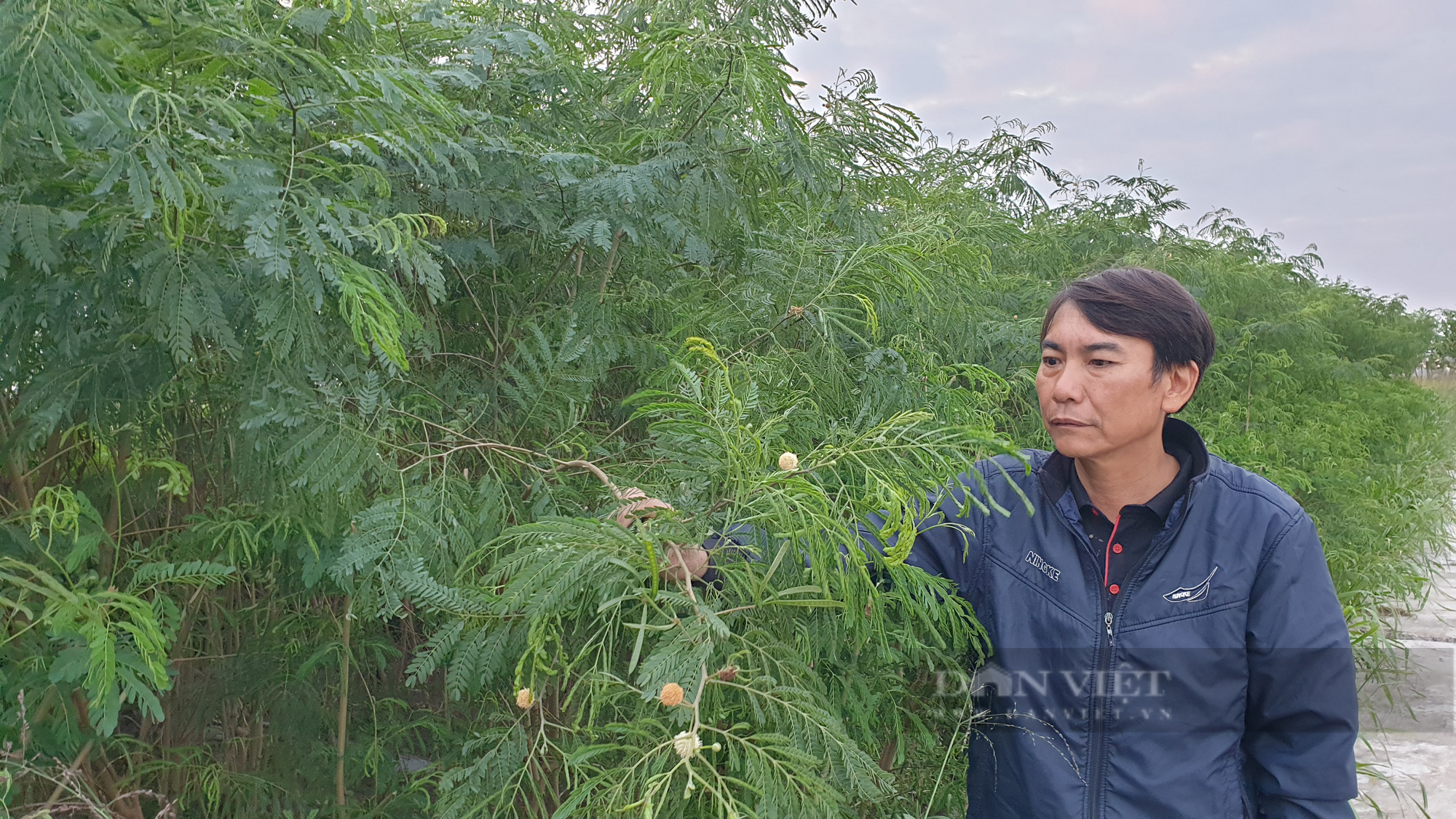 Ninh Bình: Thất nghiệp vì dịch covid, 7x về quê nuôi dê thảo dược, ai nhìn thấy cũng mê mẩn  - Ảnh 3.