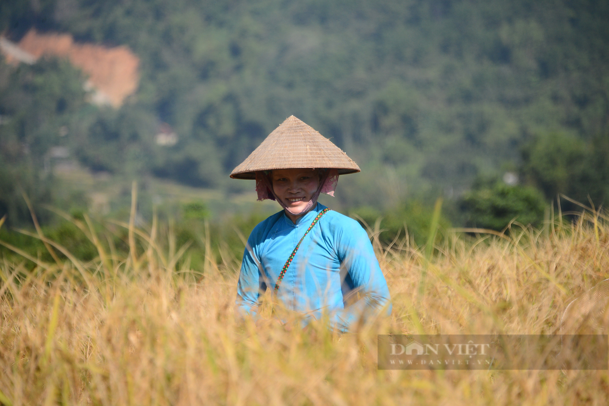 Bình Liêu mùa lúa chín - Ảnh 8.