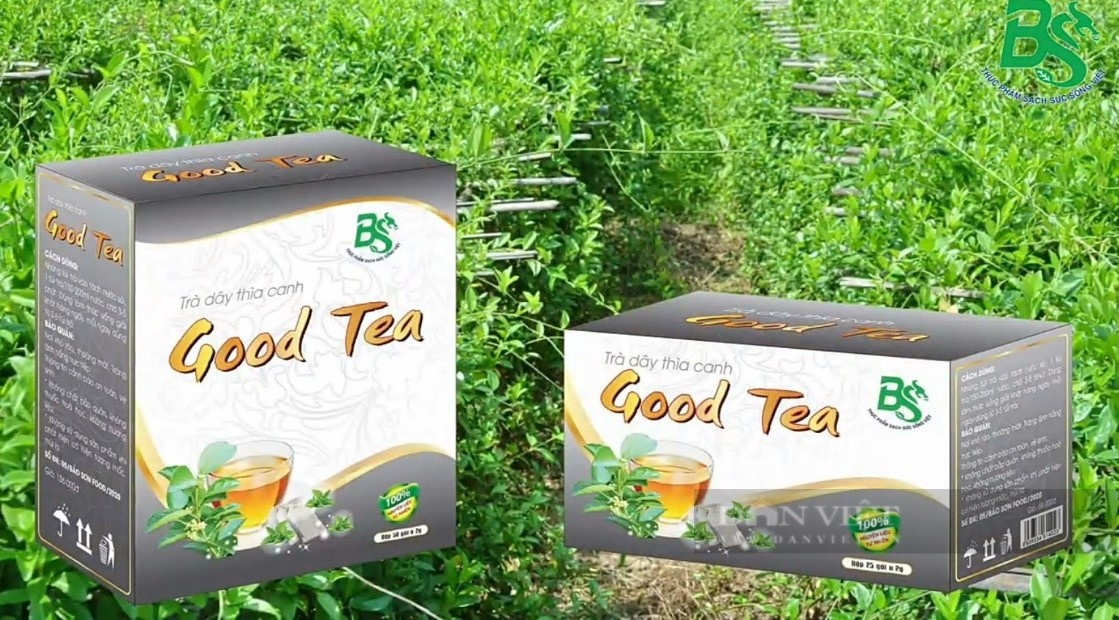  Trồng dây thìa canh, nữ công chức nghỉ việc nhà nước tạo bất ngờ với thương hiệu trà thảo mộc Good Tea - Ảnh 2.
