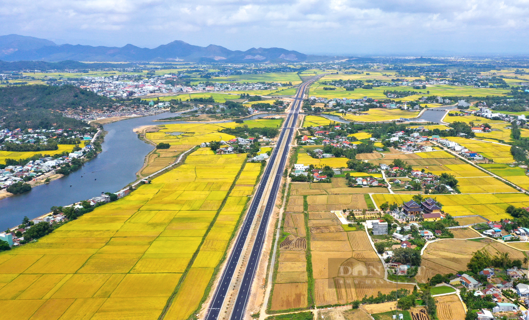 Bình Định kích hoạt du lịch xanh: &quot;Điểm đến an toàn, trải nghiệm hấp dẫn&quot; - Ảnh 4.