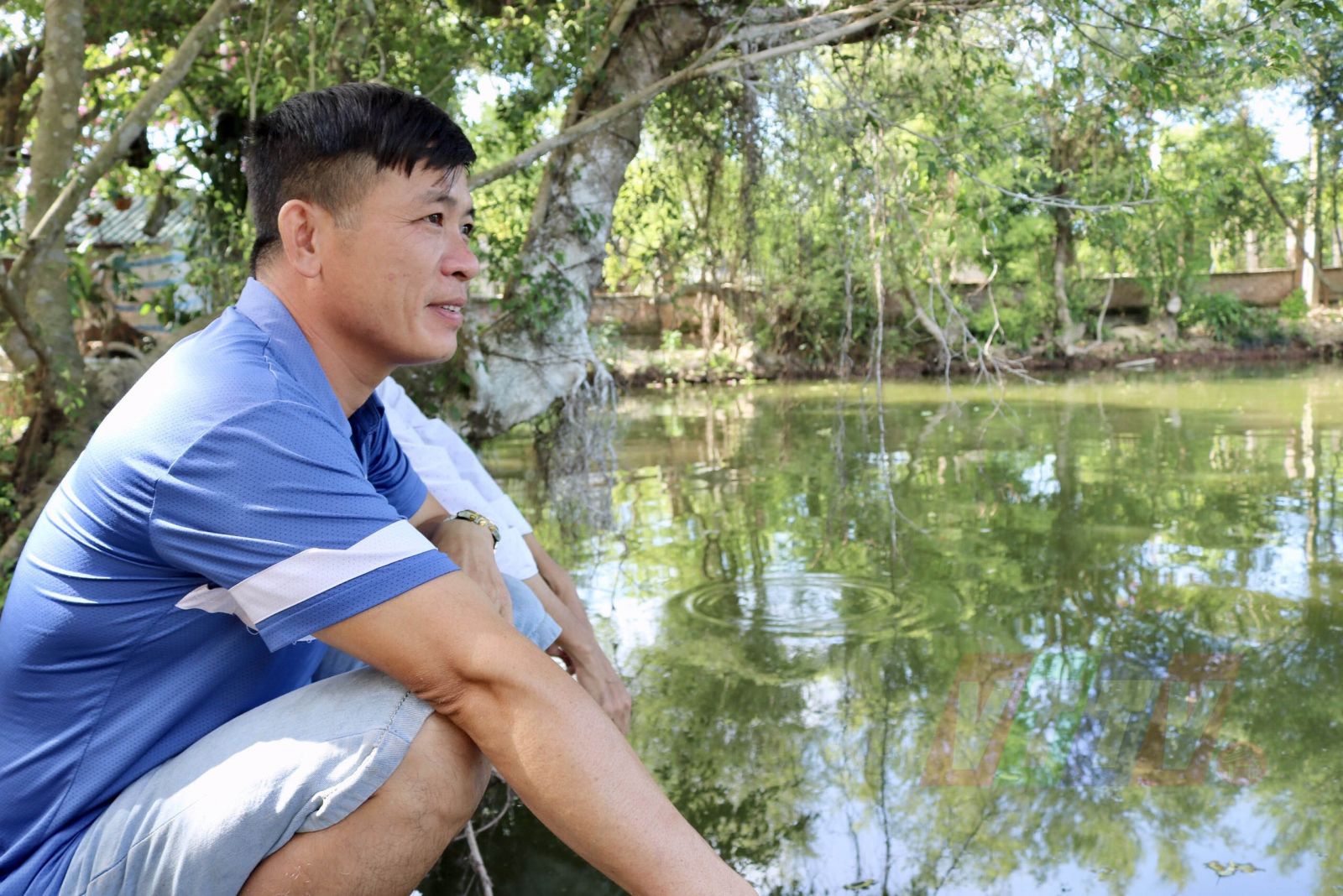 Thái  Bình: Ông nông dân nuôi loài cá lạ gì mà bán đắt tiền, làng xóm có lúc kéo đến xem rất đông - Ảnh 1.