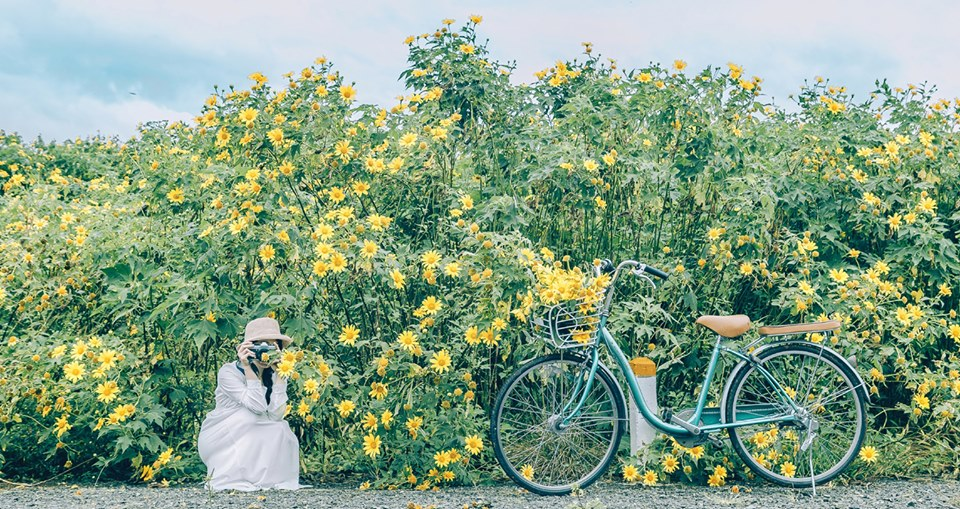 Du lịch Đà Lạt: Những loài hoa đẹp níu chân người trong tháng 11 của thành phố ngàn hoa - Ảnh 5.