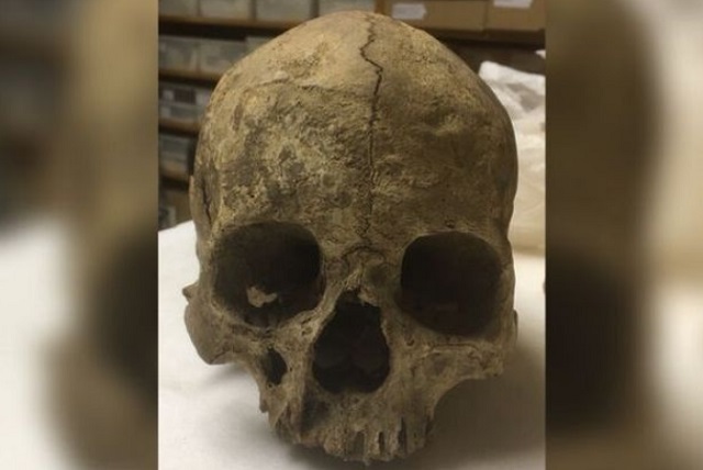 Ngã ngửa trước sự thật về hộp sọ 14.000 năm tuổi được ví là báu vật lịch sử - Ảnh 1.