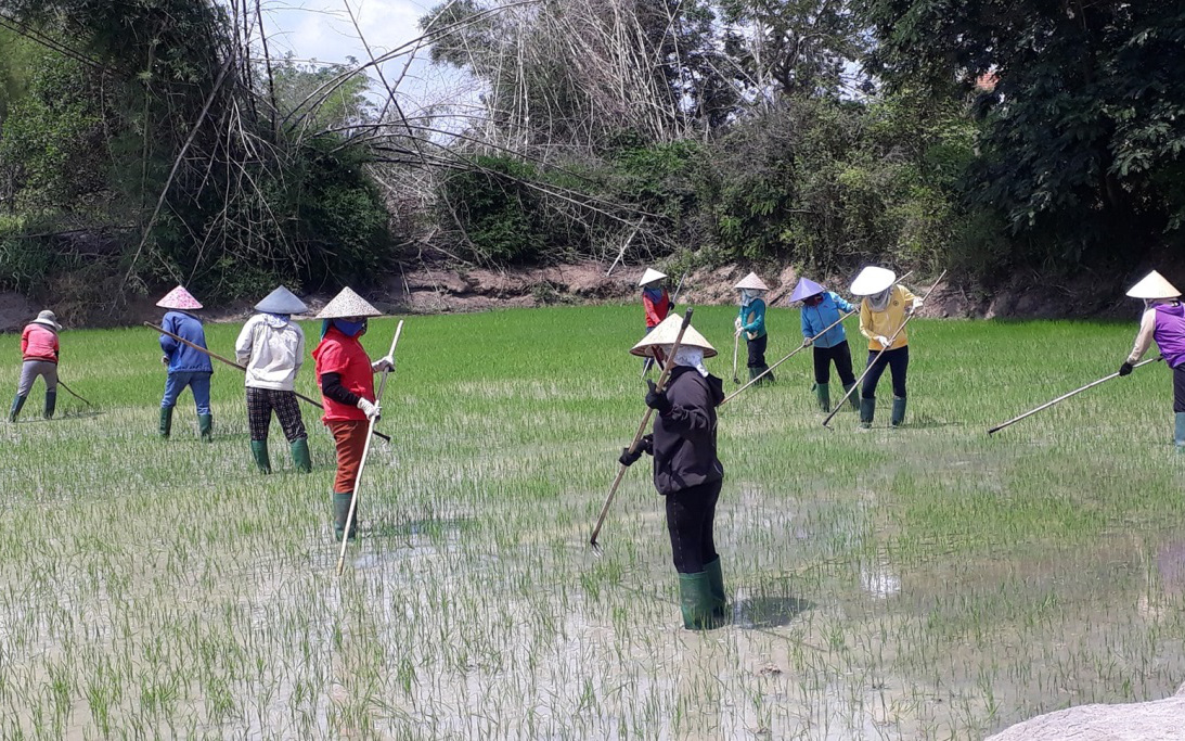 Giáo viên mầm non tư thục tại TP.HCM (Bài 2): Về quê dựa dẫm bố mẹ, tập trở thành nông dân