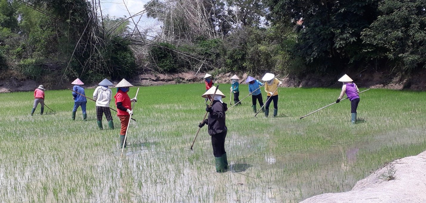 Giáo viên mầm non tư thục tại TP.HCM: (Bài 2) Về quê “ăn bám”, tập trở thành nông dân - Ảnh 1.