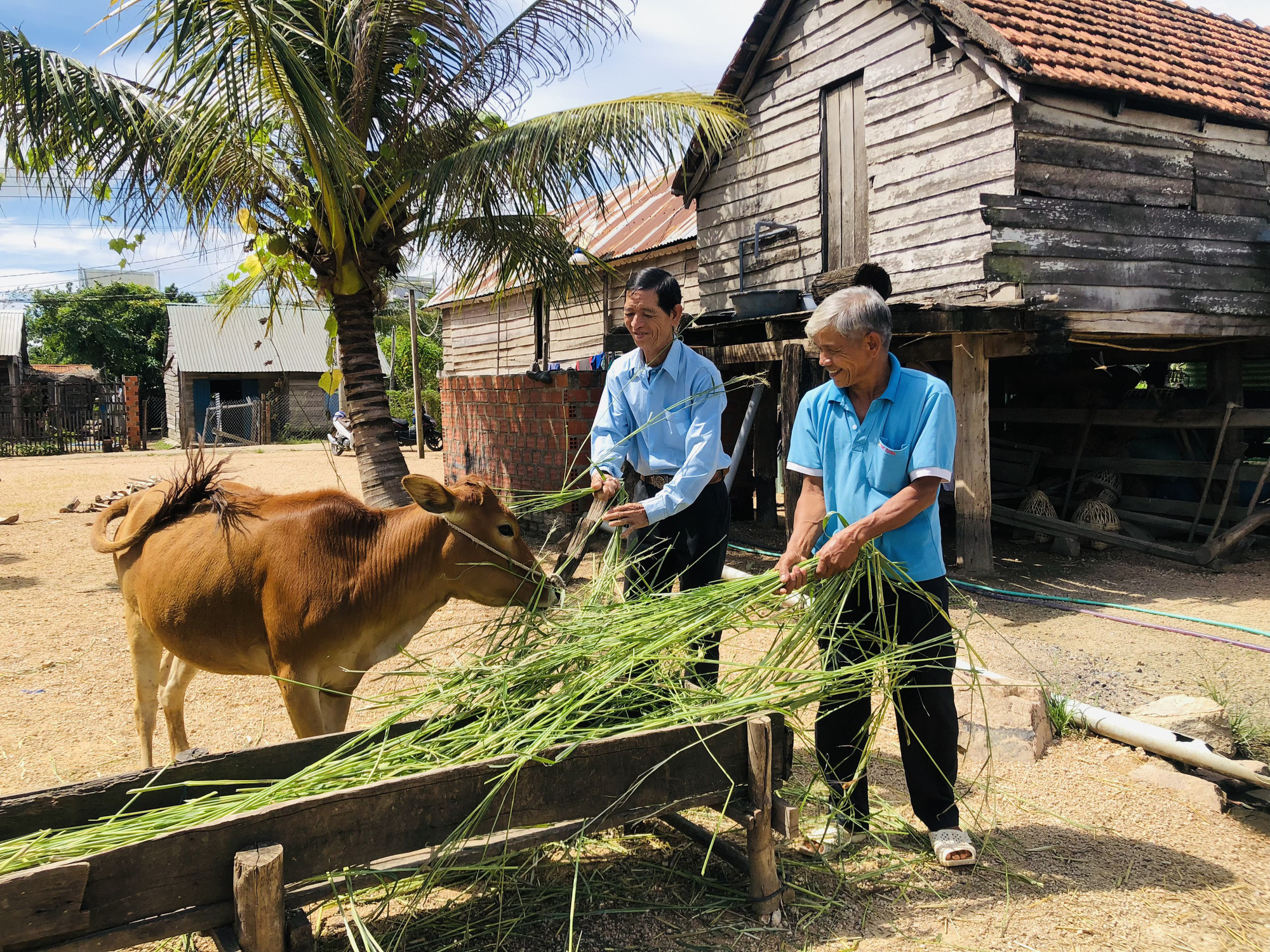 Gia Lai: Sự thật về “Nhà nước Đê-ga, Tin lành Đê-ga”(kỳ 1): Lời kể của những nhân chứng sống - Ảnh 5.