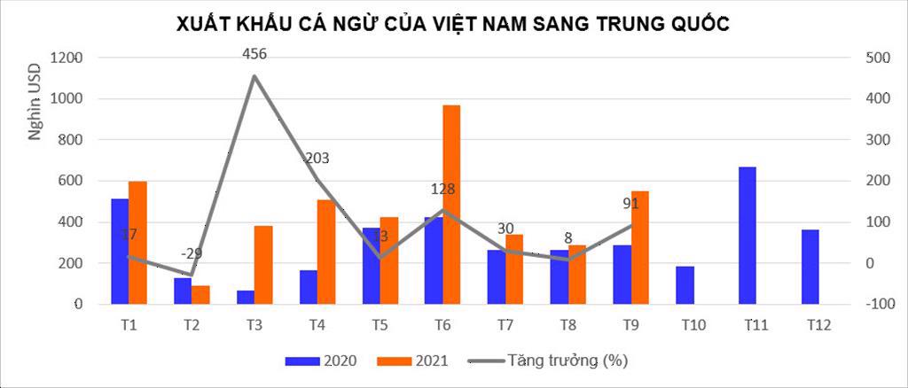 Xuất khẩu cá ngừ sang Trung Quốc tăng cao trở lại - Ảnh 1.