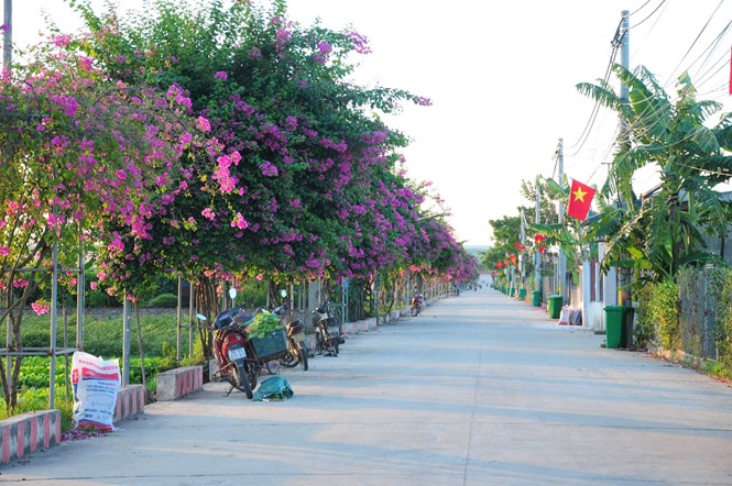 Cả làng trồng cây cảnh, từ cây bình dân tới cây đắt tiền mà nên danh làng du lịch của thủ đô Hà Nội - Ảnh 8.