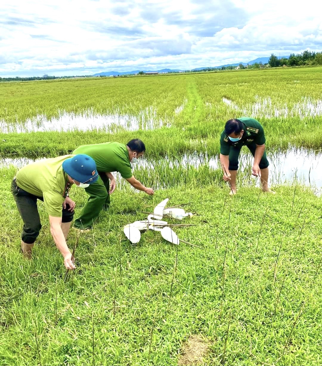 Quảng Bình: Cán bộ, công chức, viên chức không tham gia săn, bắt, giết mổ... động vật hoang dã - Ảnh 2.