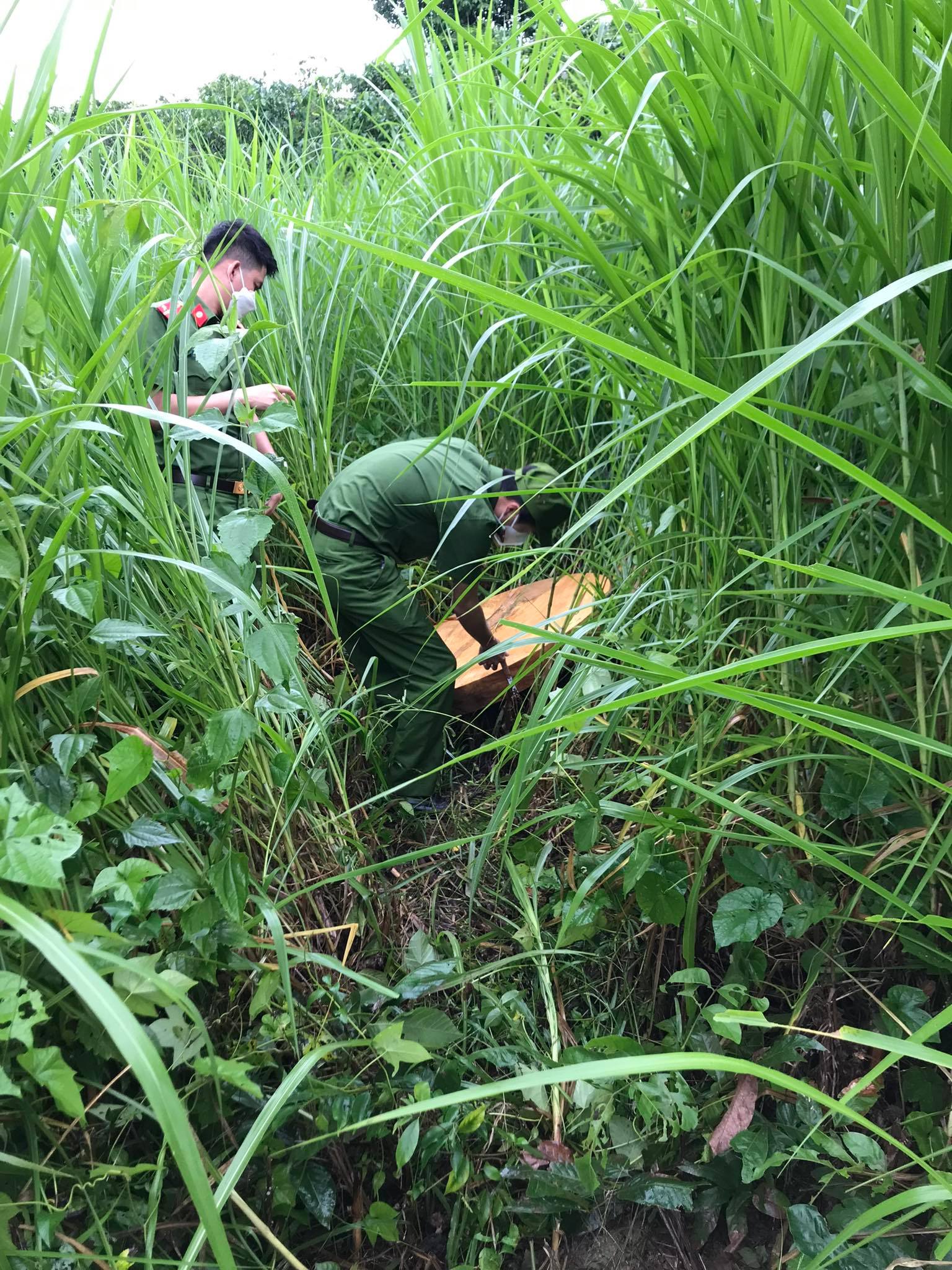 Đắk Lắk: Mở rộng điều tra một cơ sở vận chuyển, tàng trữ gỗ trái phép - Ảnh 3.