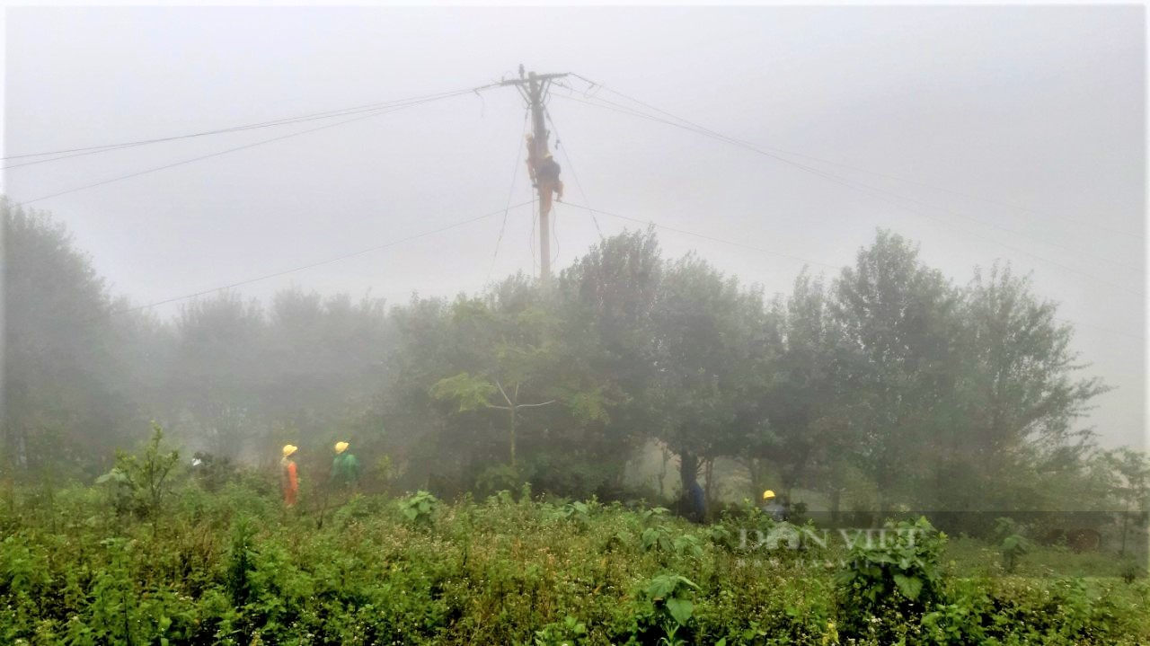 PC Quảng Nam kịp thời xử lý sự cố sạt lở do mưa lớn kéo dài - Ảnh 5.
