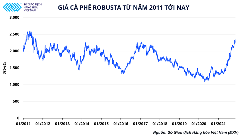 Giá cà-phê cao nhất trong 10 năm - cơ hội của ngành cà-phê Việt Nam - Ảnh 2.