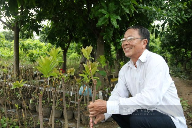 “Ngôi làng sống vô tư, không phiền não” độc đáo ở Ninh Thuận - Ảnh 6.