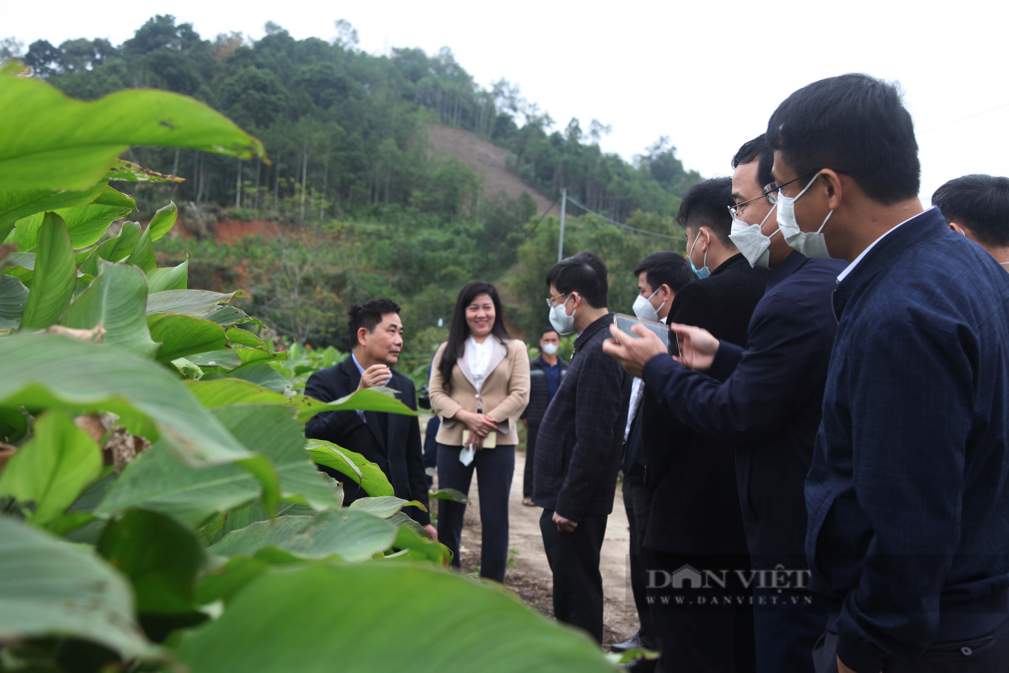 Nông nghiệp, nông dân, nông thôn tỉnh Bắc Kạn sau 13 năm thực hiện Nghị quyết 26 - Ảnh 2.