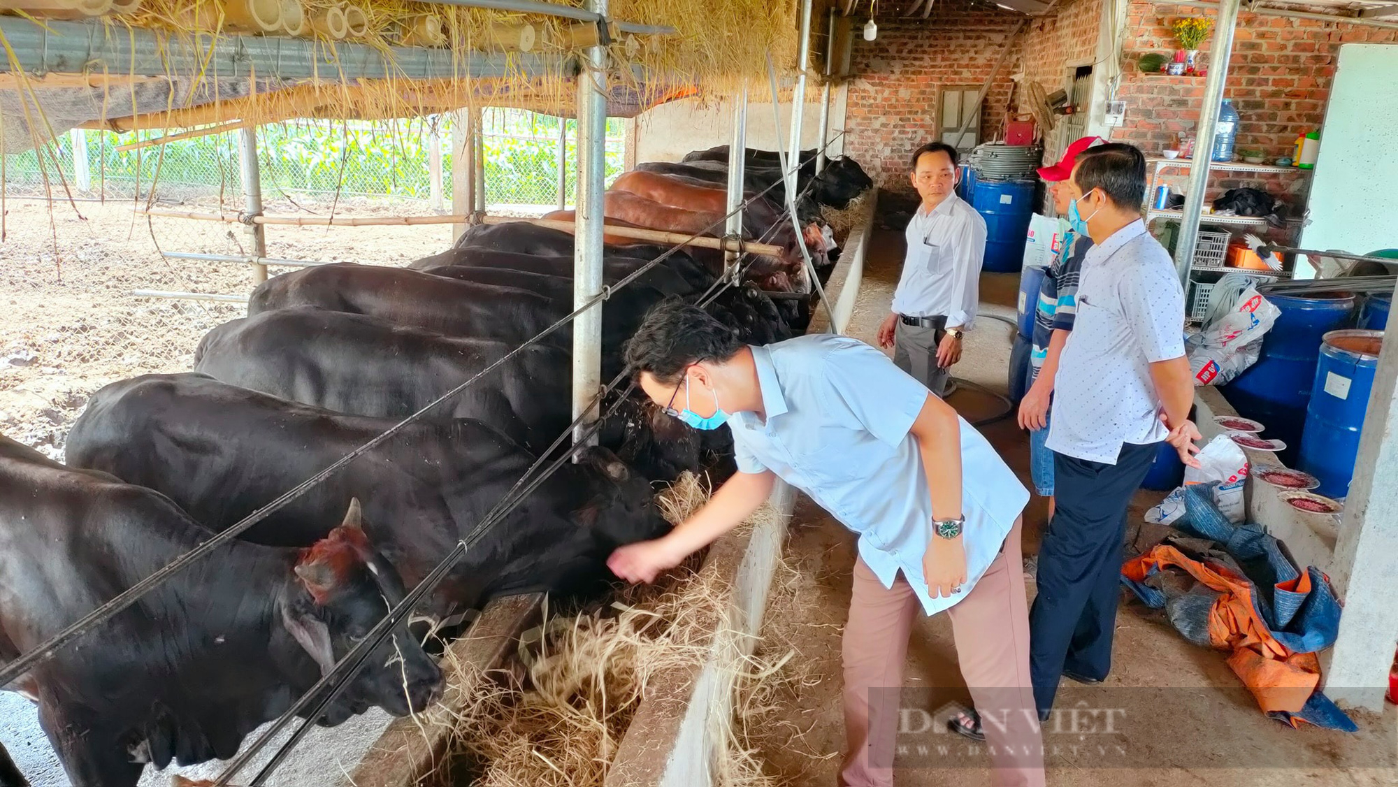 Quảng Nam: Hội Nông dân Điện Bàn dẫn đầu thi đua cụm đồng bằng năm 2021 - Ảnh 1.