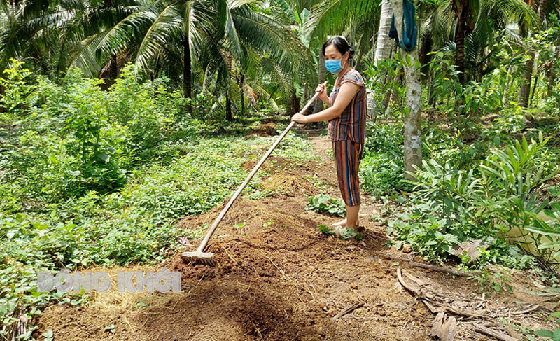 Nông dân tỉnh Bến Tre áp dụng cách đơn giản này để đối phó với giá phân bón tăng gấp đôi - Ảnh 1.