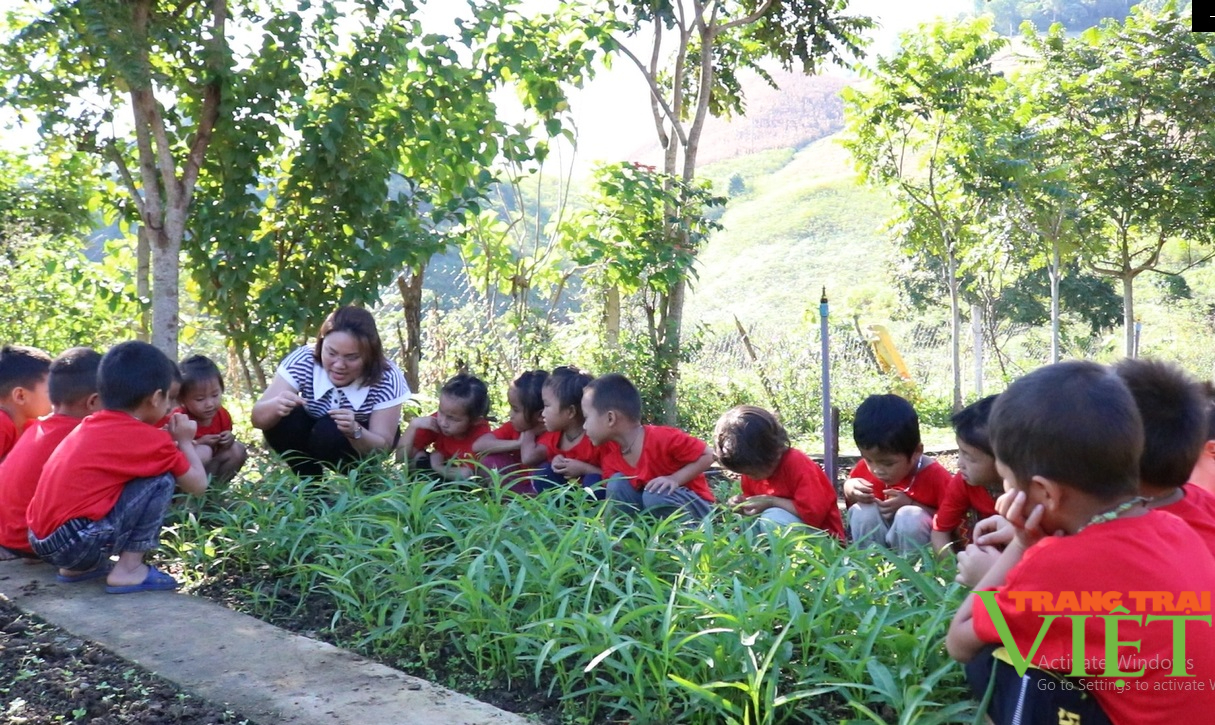 Nông thôn Tây Bắc: Cô giáo người Thái mang sáng kiến lên vùng cao - Ảnh 3.