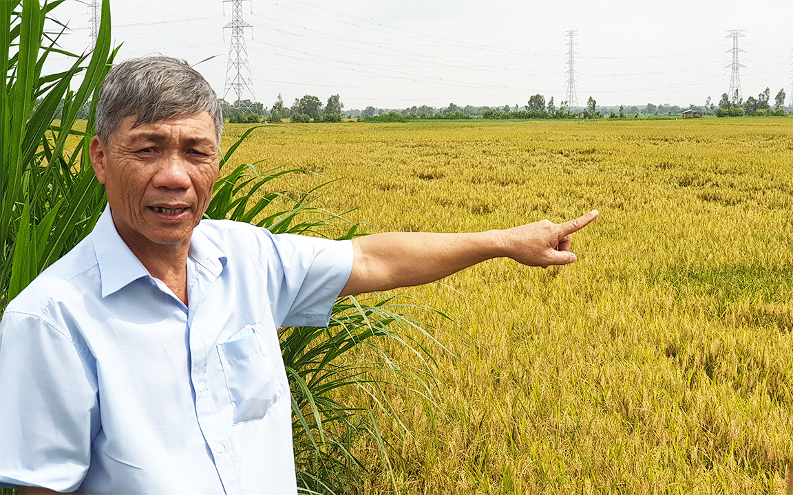 Trà Vinh: Ông giám đốc quanh năm lội ruộng, trồng lúa được Bộ trưởng Bộ NNPTNT, Chủ tịch UBND tỉnh tặng Bằng khen