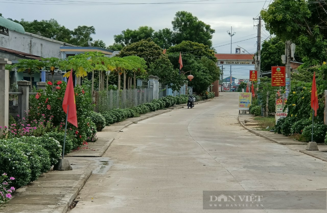 Quảng Nam: Duy Trung nâng cao chất lượng các tiêu chí, hướng đến xã nông thôn mới nâng cao - Ảnh 9.