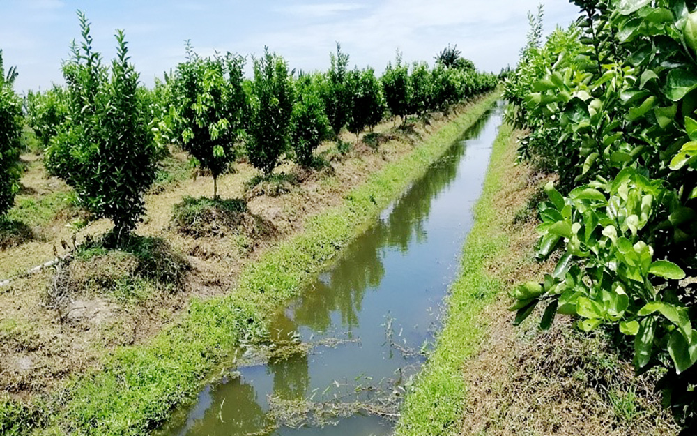 Tưới nước cho vườn cây ăn trái bằng pin năng lượng mặt trời, cứ 1ha nông dân An Giang giảm được 10 triệu tiền điện