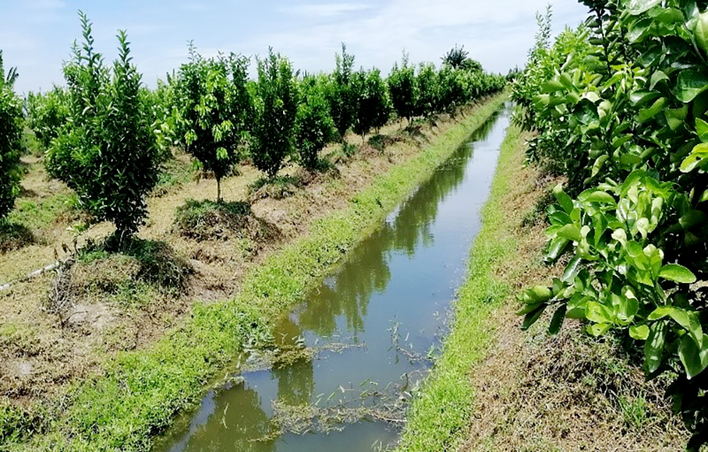 Tưới nước cho vườn cây ăn trái bằng năng lượng mặt trời, cứ 1ha nông dân An Giang giảm được 10 triệu tiền điện - Ảnh 1.