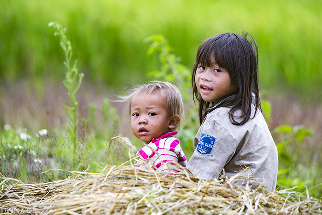 Gánh nặng về dinh dưỡng ở Việt Nam (bài 1): Nơi trẻ em có tỷ lệ suy dinh dưỡng thấp còi cao - Ảnh 1.