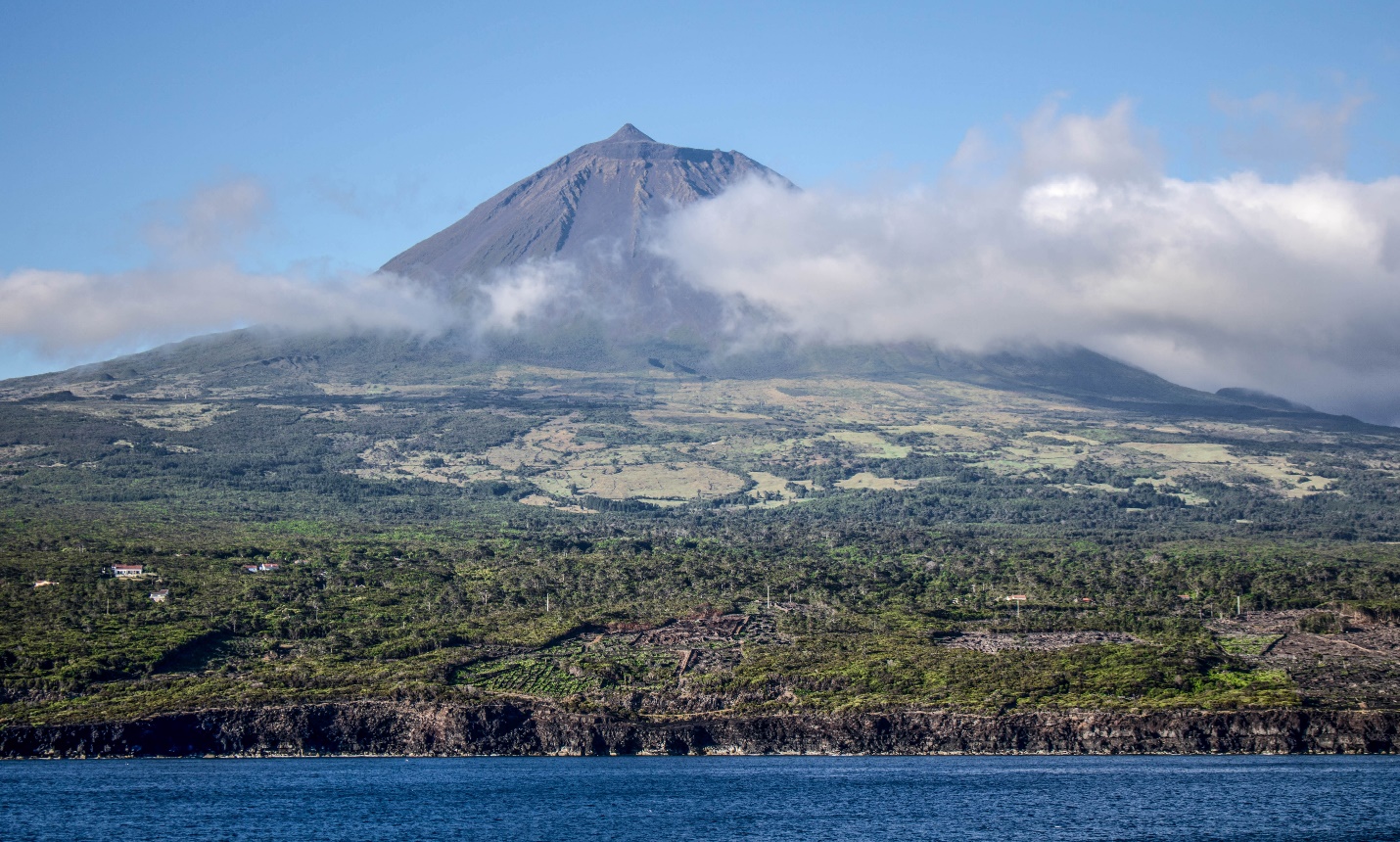 Trải nghiệm bơi cùng cá heo tại đảo Azores hút khách du lịch - Ảnh 2.